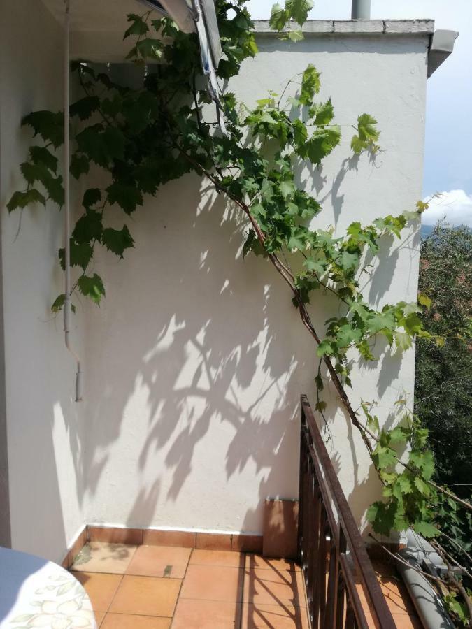 Guest House Vila Bak Μπούντβα Εξωτερικό φωτογραφία