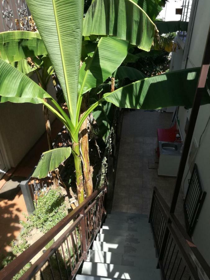Guest House Vila Bak Μπούντβα Εξωτερικό φωτογραφία