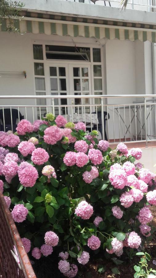 Guest House Vila Bak Μπούντβα Εξωτερικό φωτογραφία